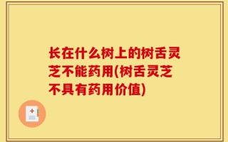 长在什么树上的树舌灵芝不能药用(树舌灵芝不具有药用价值)