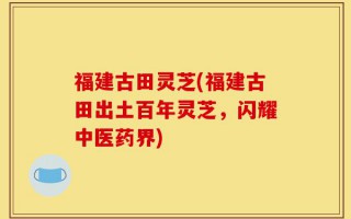 福建古田灵芝(福建古田出土百年灵芝，闪耀中医药界)