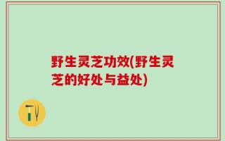 野生灵芝功效(野生灵芝的好处与益处)