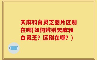 天麻和白灵芝图片区别在哪(如何辨别天麻和白灵芝？区别在哪？)