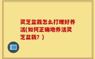 灵芝盆栽怎么打理好养活(如何正确地养活灵芝盆栽？)