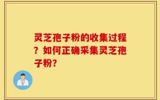 灵芝孢子粉的收集过程？如何正确采集灵芝孢子粉？