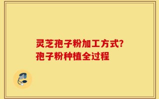 灵芝孢子粉加工方式？孢子粉种植全过程