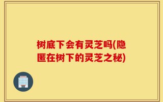 树底下会有灵芝吗(隐匿在树下的灵芝之秘)
