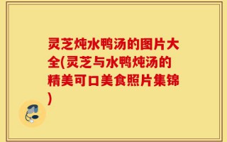 灵芝炖水鸭汤的图片大全(灵芝与水鸭炖汤的精美可口美食照片集锦)