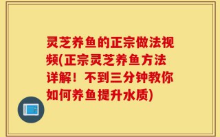 灵芝养鱼的正宗做法视频(正宗灵芝养鱼方法详解！不到三分钟教你如何养鱼提升水质)
