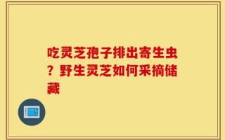 吃灵芝孢子排出寄生虫？野生灵芝如何采摘储藏
