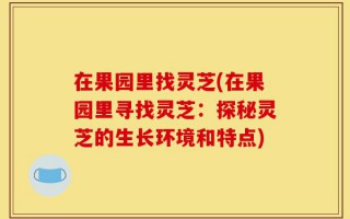 在果园里找灵芝(在果园里寻找灵芝：探秘灵芝的生长环境和特点)