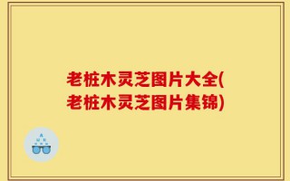 老桩木灵芝图片大全(老桩木灵芝图片集锦)