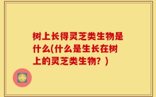 树上长得灵芝类生物是什么(什么是生长在树上的灵芝类生物？)