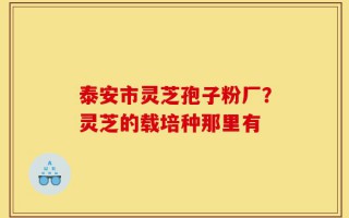 泰安市灵芝孢子粉厂？灵芝的载培种那里有