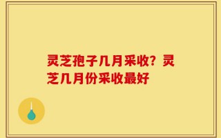 灵芝孢子几月采收？灵芝几月份采收最好