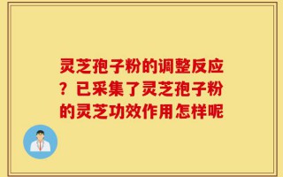 灵芝孢子粉的调整反应？已采集了灵芝孢子粉的灵芝功效作用怎样呢