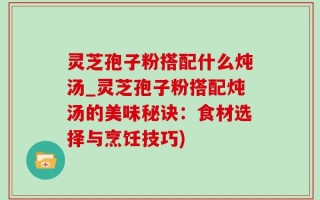 灵芝孢子粉搭配什么炖汤_灵芝孢子粉搭配炖汤的美味秘诀：食材选择与烹饪技巧)