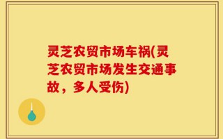灵芝农贸市场车祸(灵芝农贸市场发生交通事故，多人受伤)