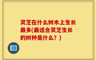 灵芝在什么树木上生长最多(最适合灵芝生长的树种是什么？)