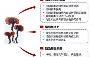老年人 如何提高免疫力？为什么父母优选灵芝孢子粉