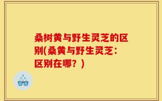 桑树黄与野生灵芝的区别(桑黄与野生灵芝：区别在哪？)