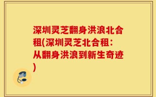 深圳灵芝翻身洪浪北合租(深圳灵芝北合租：从翻身洪浪到新生奇迹)
