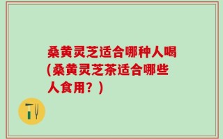 桑黄灵芝适合哪种人喝(桑黄灵芝茶适合哪些人食用？)