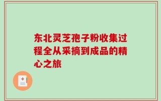 东北灵芝孢子粉收集过程全从采摘到成品的精心之旅