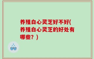 养殖白心灵芝好不好(养殖白心灵芝的好处有哪些？)
