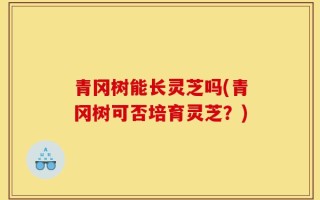 青冈树能长灵芝吗(青冈树可否培育灵芝？)