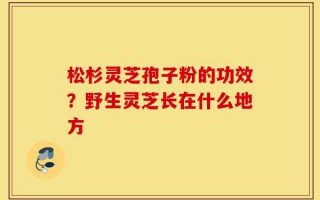 松杉灵芝孢子粉的功效？野生灵芝长在什么地方
