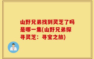 山野兄弟找到灵芝了吗是哪一集(山野兄弟探寻灵芝：寻宝之旅)