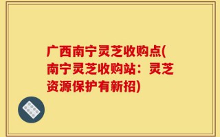 广西南宁灵芝收购点(南宁灵芝收购站：灵芝资源保护有新招)