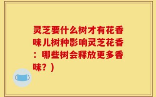 灵芝要什么树才有花香味儿树种影响灵芝花香：哪些树会释放更多香味？)