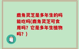 鹿角灵芝是多年生的吗能吃吗(鹿角灵芝可食用吗？它是多年生植物吗？)