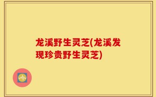 龙溪野生灵芝(龙溪发现珍贵野生灵芝)
