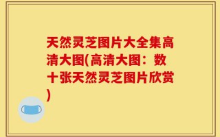 天然灵芝图片大全集高清大图(高清大图：数十张天然灵芝图片欣赏)