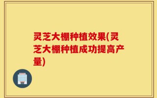 灵芝大棚种植效果(灵芝大棚种植成功提高产量)