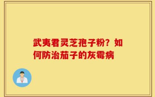 武夷君灵芝孢子粉？如何防治茄子的灰霉病