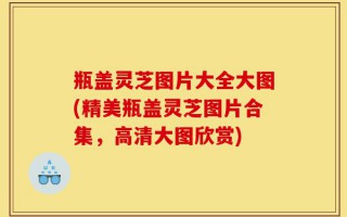 瓶盖灵芝图片大全大图(精美瓶盖灵芝图片合集，高清大图欣赏)