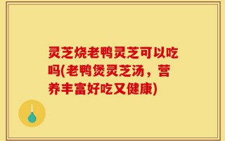 灵芝烧老鸭灵芝可以吃吗(老鸭煲灵芝汤，营养丰富好吃又健康)