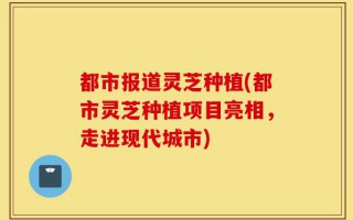 都市报道灵芝种植(都市灵芝种植项目亮相，走进现代城市)