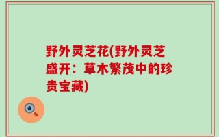 野外灵芝花(野外灵芝盛开：草木繁茂中的珍贵宝藏)