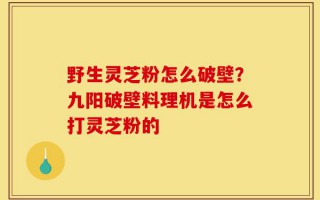 野生灵芝粉怎么破壁？九阳破壁料理机是怎么打灵芝粉的