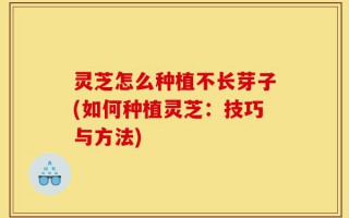 灵芝怎么种植不长芽子(如何种植灵芝：技巧与方法)