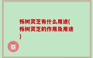 栎树灵芝有什么用途(栎树灵芝的作用及用途)