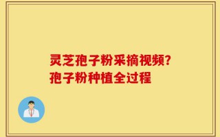 灵芝孢子粉采摘视频？孢子粉种植全过程
