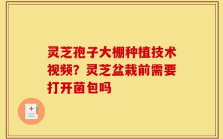 灵芝孢子大棚种植技术视频？灵芝盆栽前需要打开菌包吗