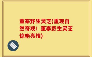董寨野生灵芝(重现自然奇观！董寨野生灵芝惊艳亮相)