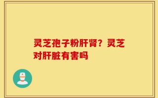 灵芝孢子粉肝肾？灵芝对肝脏有害吗