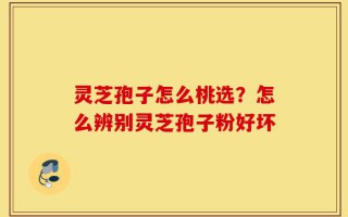 灵芝孢子怎么桃选？怎么辨别灵芝孢子粉好坏
