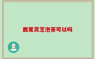 鹿茸灵芝泡茶可以吗