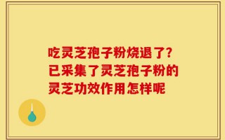 吃灵芝孢子粉烧退了？已采集了灵芝孢子粉的灵芝功效作用怎样呢